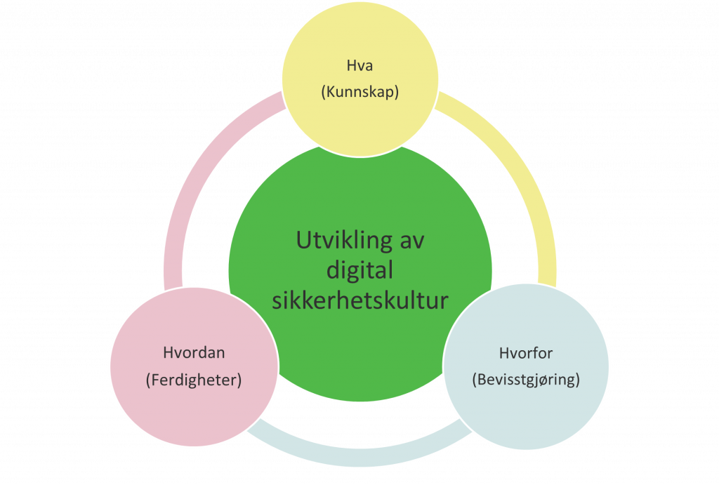 Organisasjonens kultur påvirkes av den enkeltes kunnskap, bevissthet og ferdigheter