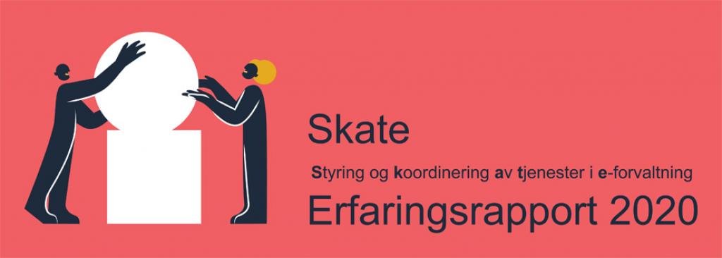 Skates erfaringsrapport 2020 illustrasjon