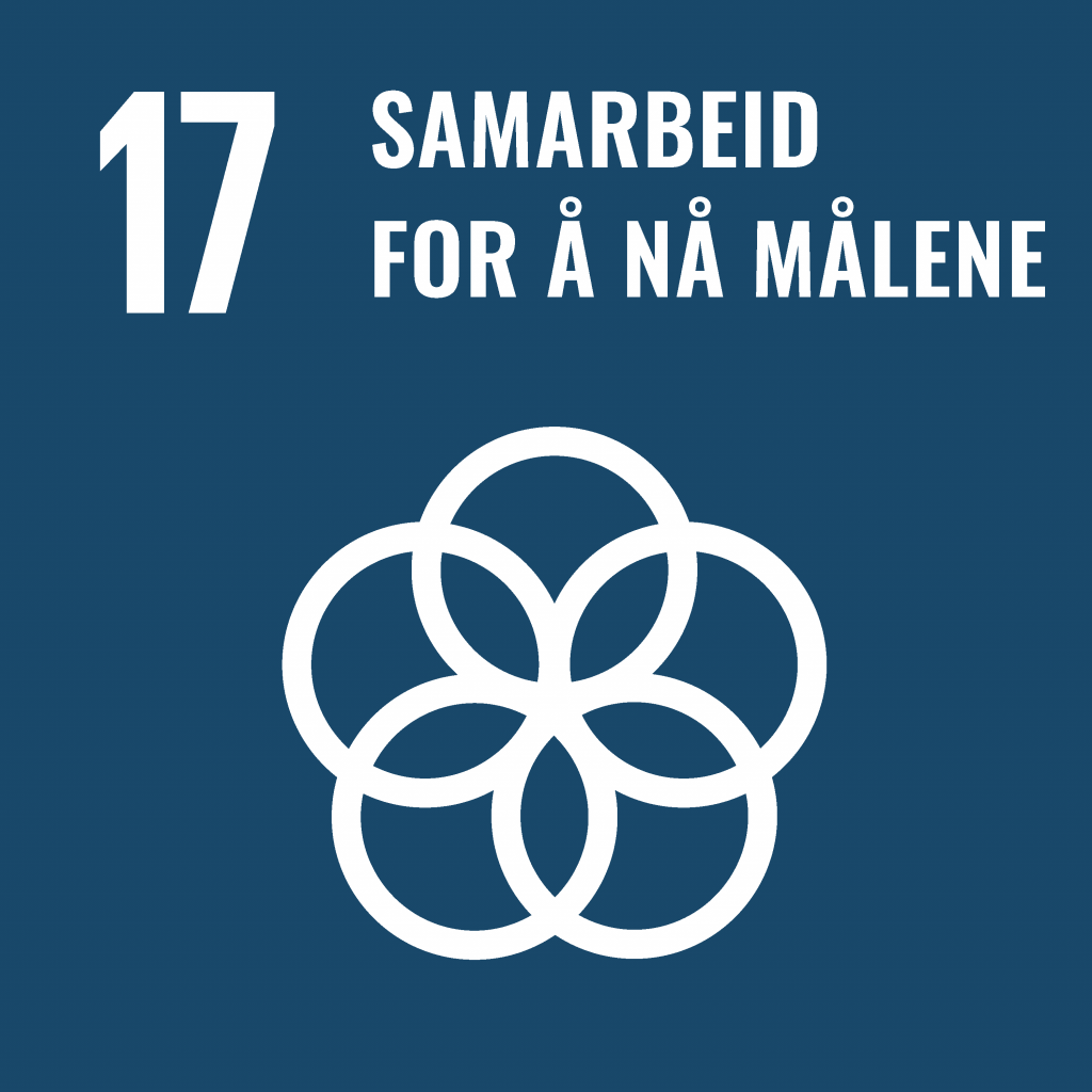 Illustrasjon. FNS bærekraftsmål nummer 17 er samarbeid for å nå målene.