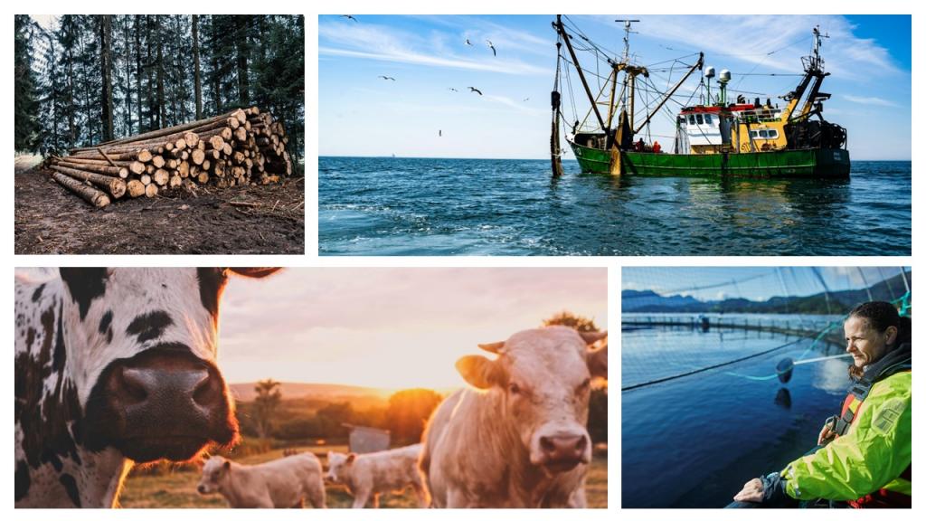 En collage av bilder som viser Skogbruk, fiske, jordbruk og Havbruk