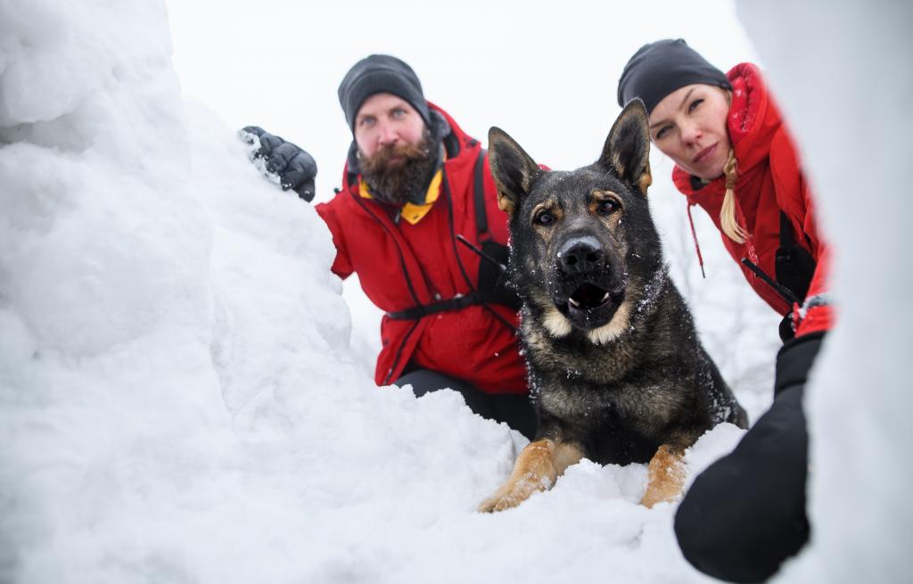 Redningsmannskaper med hund