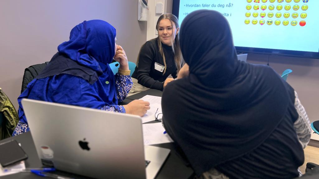 Illustrasjon: Et flerspråklig innbyggerpanel har fulgt prosjektet underveis for å samskape ideer og løsninger sammen med politiet.