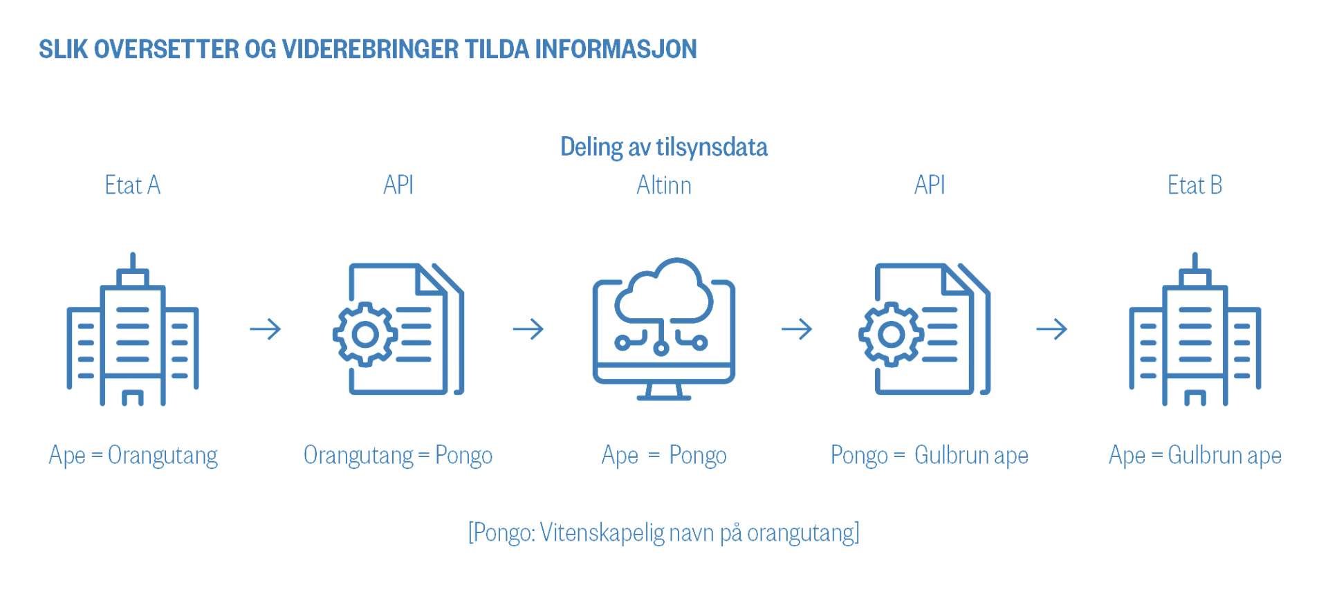 Skisse av hvordan Tilda oversetter og viderebringer informasjon